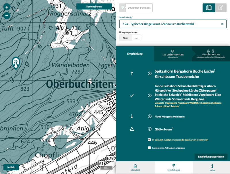 Projektion des Waldstandortes Spitzenfüeli (Oberbuchsiten, SO) mit der TreeApp