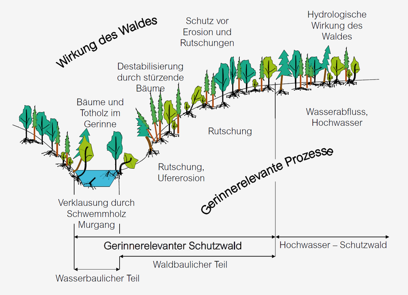 Gefahrenprozesse und zur Waldwirkung in Gerinnenähe