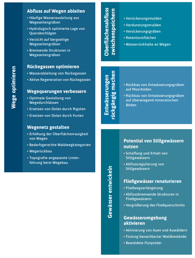 Dezentrale Maßnahmen zur Stärkung des Wasserrückhalts in Wäldern