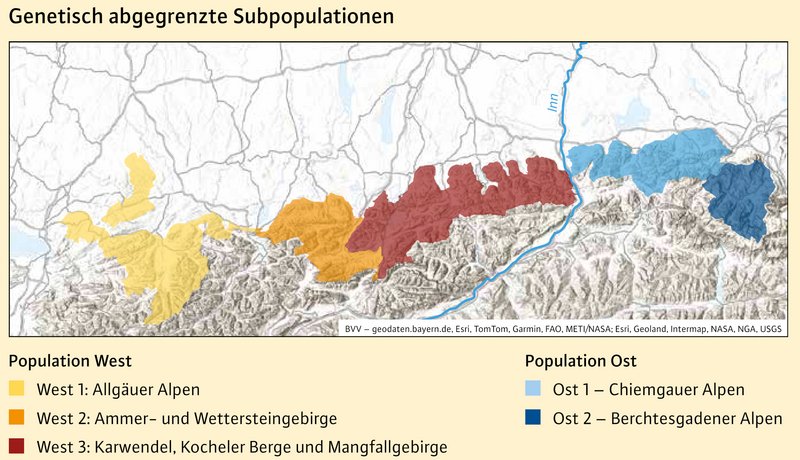 Karte des Alpenraums