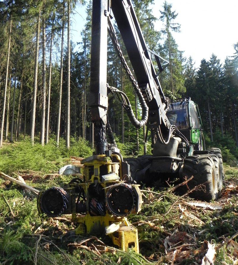 Debarking to contain bark beetle threat - waldwissen.net