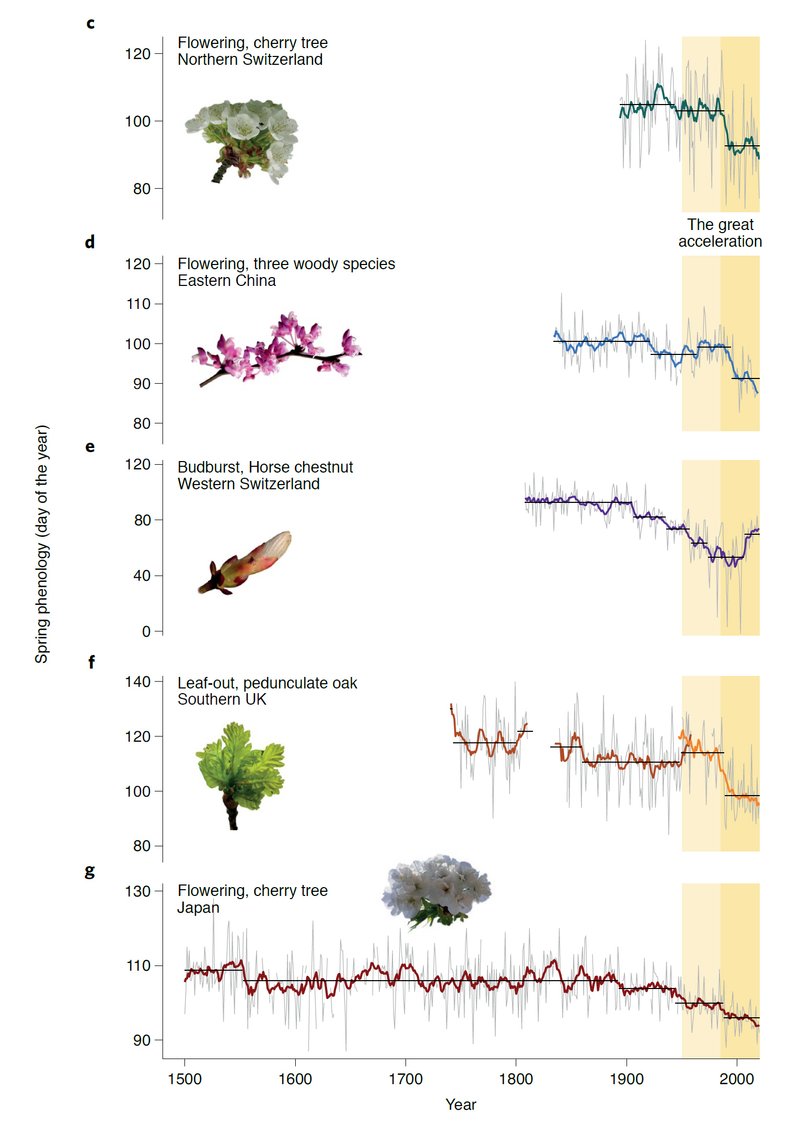 phenological time series