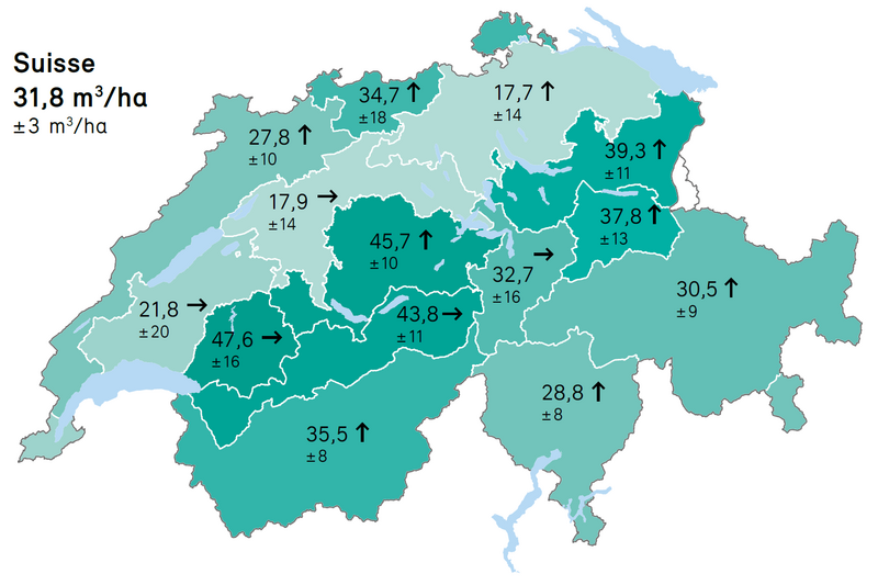 Volume moyen de bois mort Volume moyen de bois mort