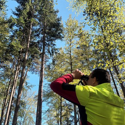 terrestrische Befallskontrolle