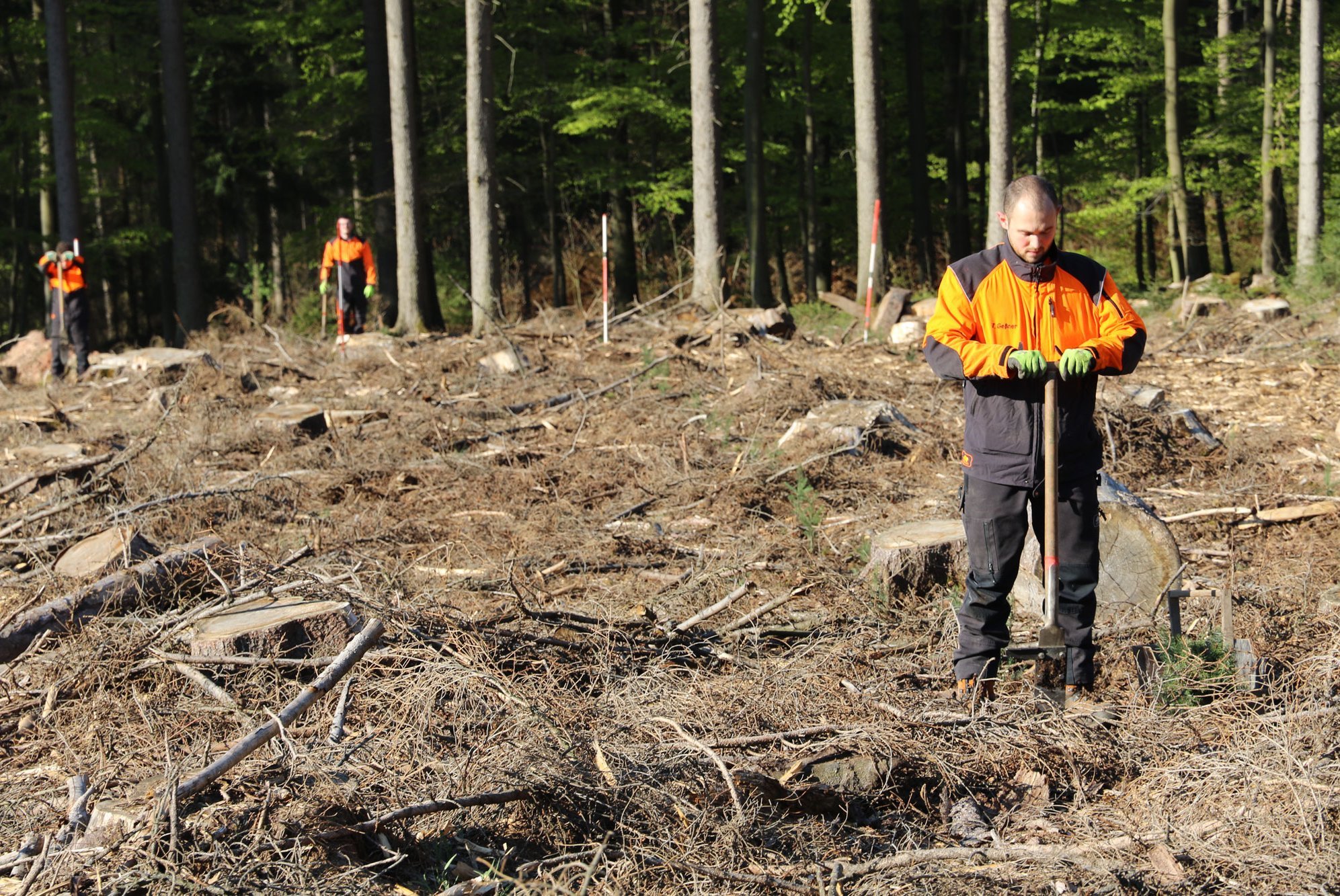 Pflanzaktion durch Auszubildende