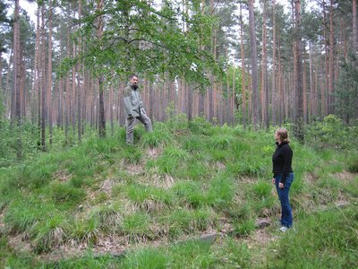 Grabhügel Grabhügel