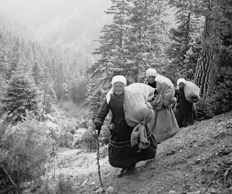 Donne vallesane mentre trasportano sacchi contenenti del muschio