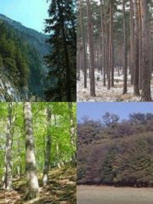 Forstliche Wuchsgebiete Österreich