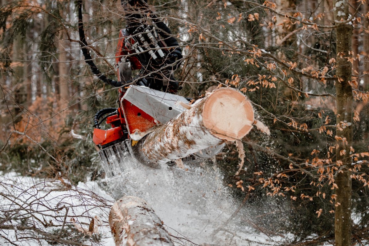 Harvester bei der Holzernte