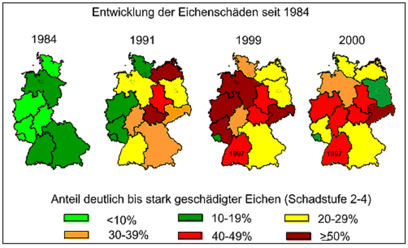 Entwicklung der Eichenschäden