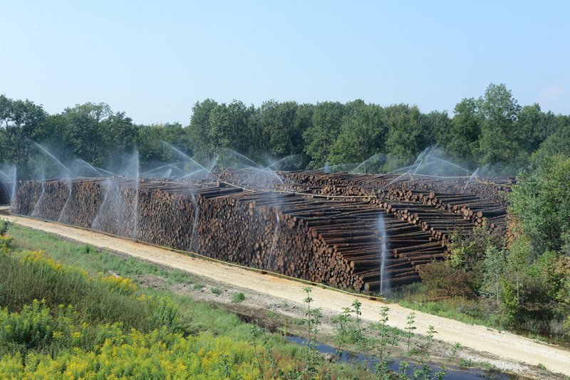 Holzpolter, der beregnet wird