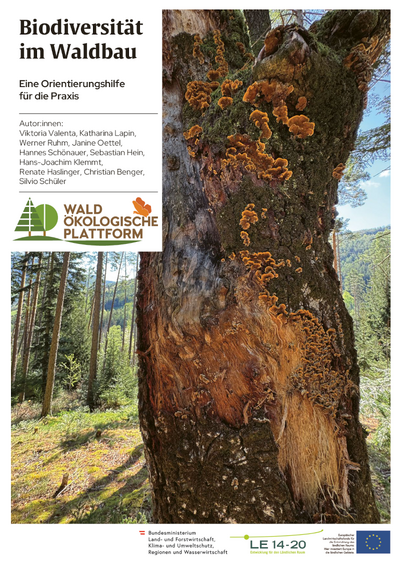 Das Cover der Broschüre zeigt einen Habitatsbaum mit Pilzen, die aus ihm wachsen.