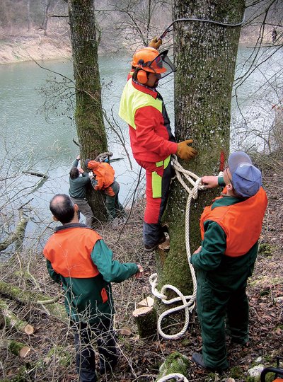 Die Anlage von Raubäumen ist anspruchsvoll