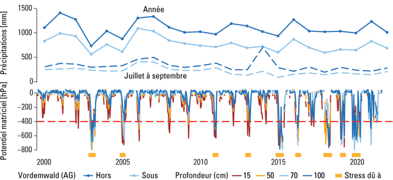 Graphique Flux d’eau liés au climat sur une sélection de sites LWF