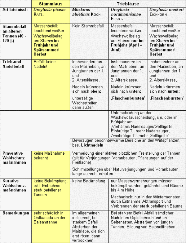 Details zu den verschiedenen Tannenläusen