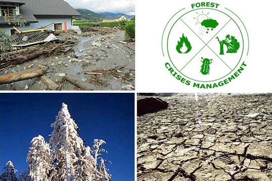 back to Forest Crises Management Advisory Guide