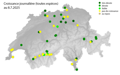 Graphique Croissance journalière