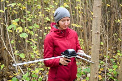 An LWF employee is measuring the trunk of a thin tree with electronic calipers.