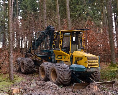 Forstwirtschaft und Maschine
