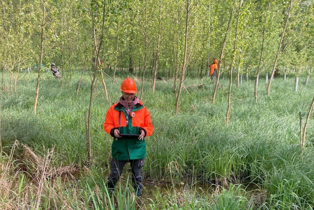 Eine Frau in einem Auwald