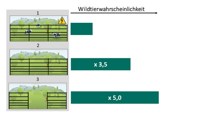 Dargestellt sind die drei Varianten. 1: Wolfsabweisend gestalteter bestromter Elektrofestzaun mit Weidetieren; 2: Wolfsabweisend gestalteter Elektrofestzaun ohne Strom und ohne Weidetiere; 3: Wolfsabweisend gestalteter Elektrofestzaun ohne Strom und geöffnetem Weidetor.