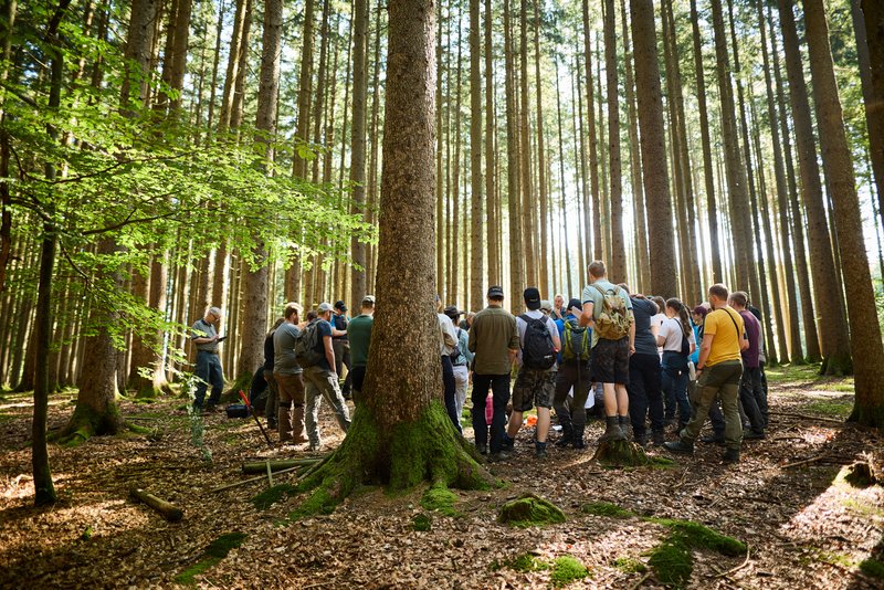 Gruppe Studierender im Wald