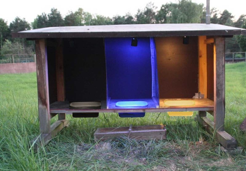 Baulich veränderte Futterstation mit drei Futterschüsseln: In dieser Anordnung ist die linke Futterschüssel unbeleuchtet, die mittlere blau und die rechte warm-weiß beleuchtet.