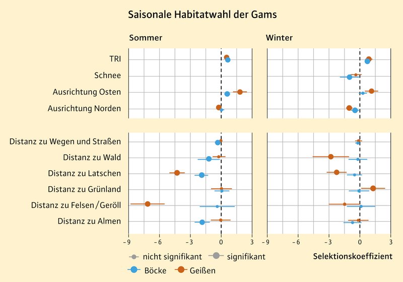 Grafik