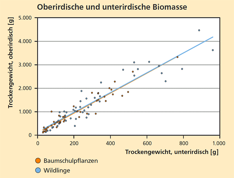 Relation Biomasse