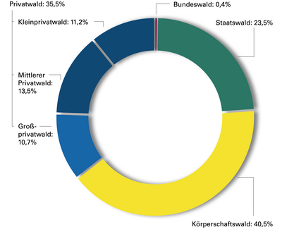 Abb. 1: Anteil der Eigentumsarten an der Waldfläche (Prozent)