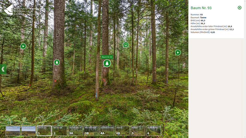 An ausgewählten Bäumen können per Mausklick dendrometrische Informationen eingespielt werden.