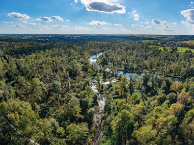Luftaufnahme eines naturnahen Auwalds mit dichtem Baumbestand und einem gewundenen Flusslauf. Im Hintergrund sind Siedlungen, Felder und Wiesen unter blauem Himmel zu sehen.
