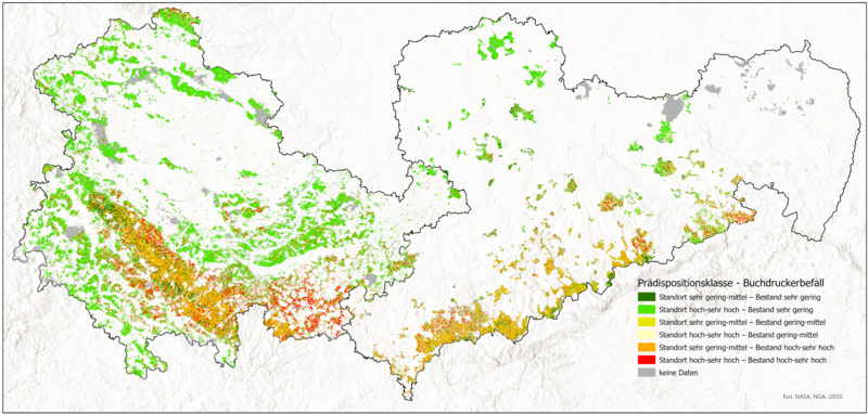Abschätzung der Gesamtprädisposition