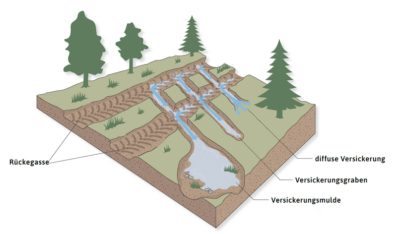 Schematische Darstellung der Wasserableitung aus einer Rückegasse: Querabschläge führen das Wasser aus den Spurgleisen zu Flächen mit diffuser Versickerung sowie zu Versickerungsgräben und Versickerungsmulden.