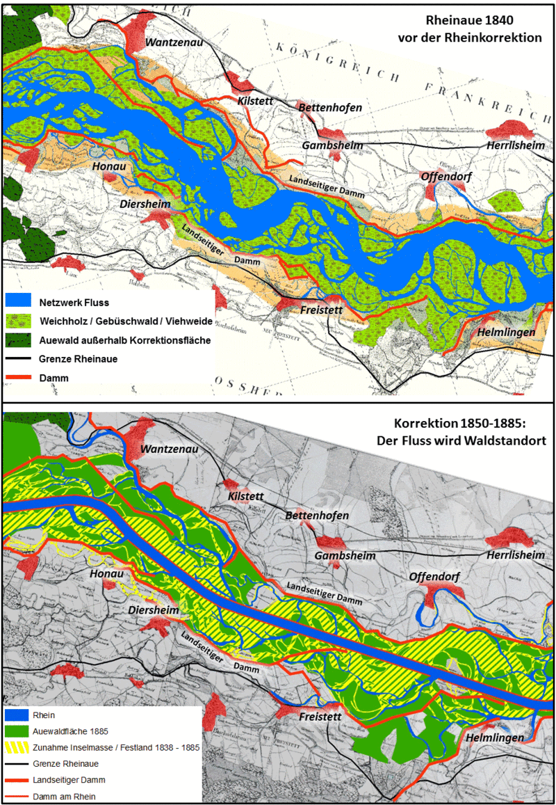 Oben: Die Rheinaue vor der Rheinkorrektion 1840; unten: nach der Korrektion 1885 (nach Lauf des Rheins 1838, Honsell 1885, modifiziert).