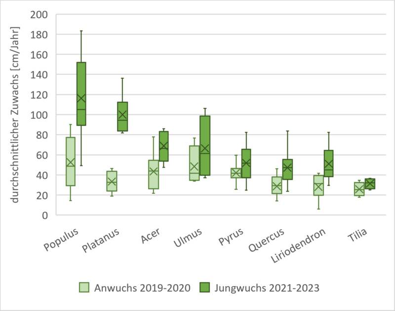 Dargestellt ist der durchschnittliche jährliche Zuwachs der Baumarten in der Anwuchs- und der Jungwuchsphase.