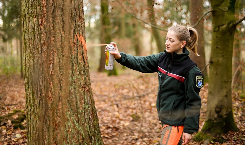 Försterin sprüht einen Baum mit orangener Farbe an