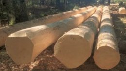 Spezial-Kundenbestellung