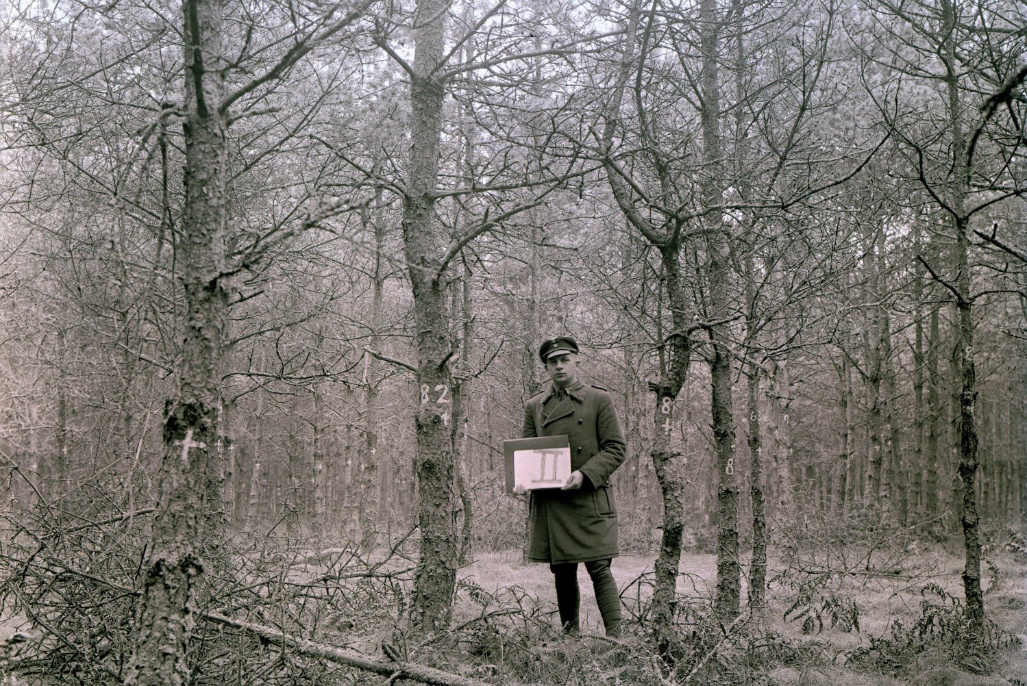 Historisches Bild von einer Versuchsfläche