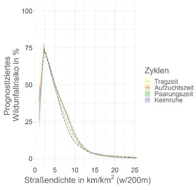 Unfallrisiko von Rehen in Abhängigkeit von Straßendichte während biologischen Zyklen