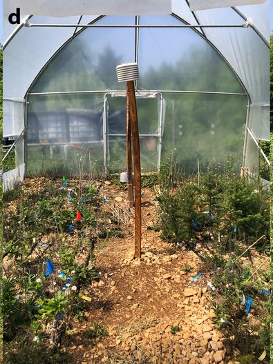 Standort Pfeffingen Gewächshaus