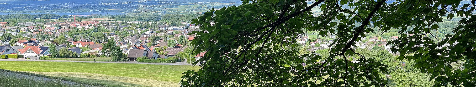 Blick aus dem Wald auf eine Stadt Periurbaner Wald für die Naherholung