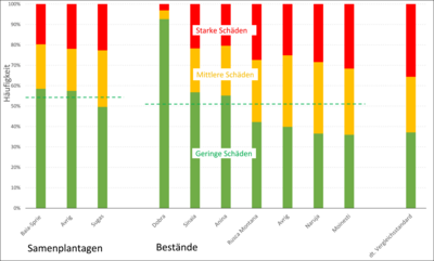 Anteile unterschiedlicher Spätfrostschadstufen in Samenplantagen und Beständen im Frühjahr 2020 (Angaben in %)
