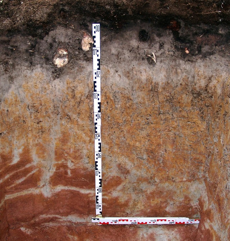 Querschnitt von Pseudogley mit einer Messvorrichtung