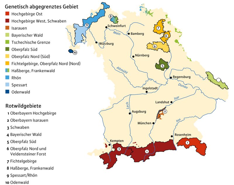 Abb. 2: Darstellung der genetischen Populationsstruktur von Rotwild in Bayern. Die Rotwildgebiete sind schwarz umrandet und mit Nummern gekennzeichnet. Die beprobten Bereiche außerhalb von Rotwildgebieten sind ohne schwarze Umrandung dargestellt. Das Rotwildgebiet Haßberge und die Rotwildvorkommen im Frankenwald sind mit einem Farbübergang dargestellt, da sich für diese Bereiche keine eindeutige Zuordnung ermitteln ließ