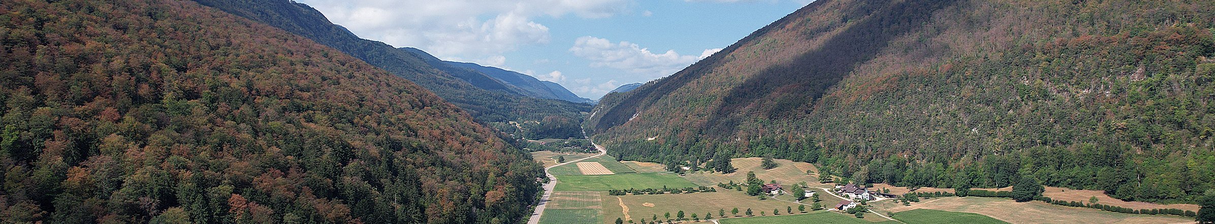 Fortgeschrittene Verbraunungen und Laubabwurf um Herbetswil (SO) vom 5.08.2026