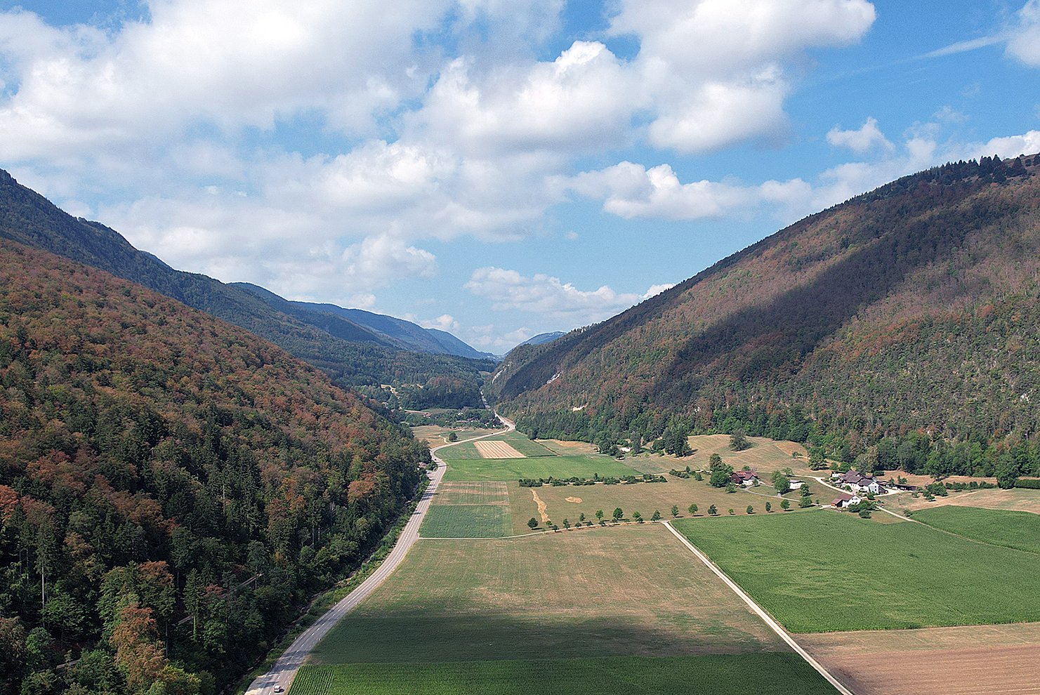 Fortgeschrittene Verbraunungen und Laubabwurf um Herbetswil (SO) vom 5.08.2026