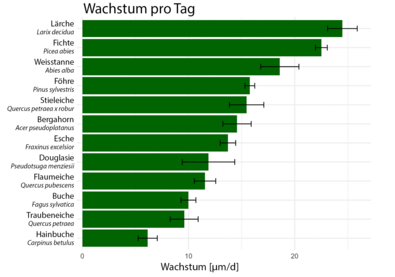 Grafik Tägliche Wachstumsrate verschiedener Baumarten