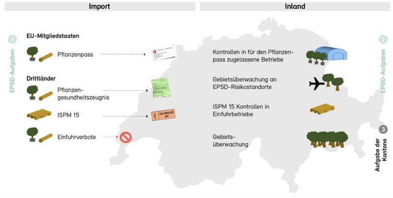 Übersicht über die eingesetzten Massnahmen beim Import und im Inland