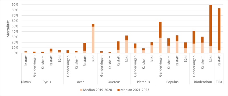 Grafik mit zahlreichen Balken